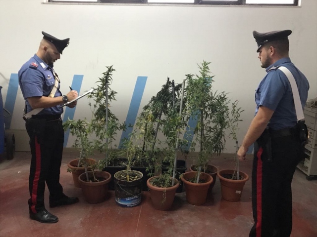 Floridia, cocaina e marijuana in un soppalco di officina meccanica