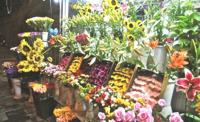 Avola, fiorista abusivo al cimitero: multa di 3.000 euro