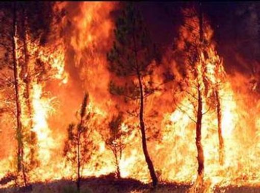 Noto, grosso incendio minaccia agriturismo