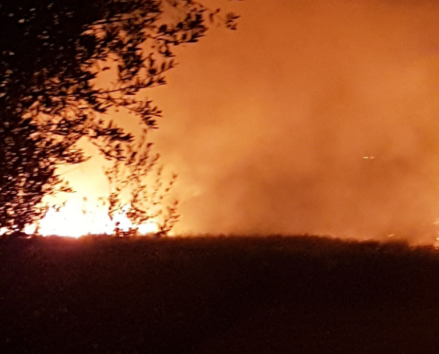 Siracusa, violento incendio nella zona di Fonte Ciane: sul posto Vigili del fuoco e Forestale