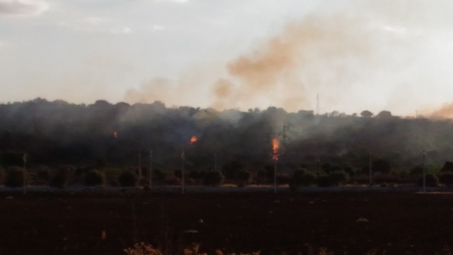 Siracusa, incendio sul costone roccioso di Targia