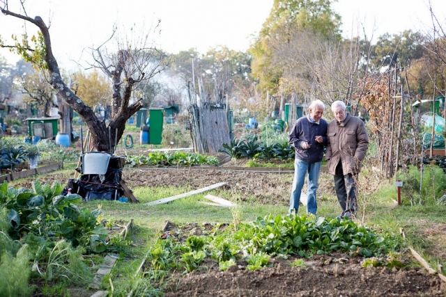 Siracusa, orti sociali Scala Greca: domande fino a 29 settembre