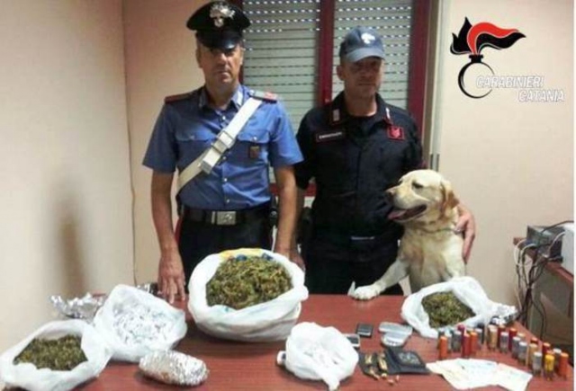 Catania, cane fiuta droga: trova 1 Kg marijuana