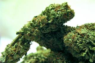 Siracusa, possesso marijuana: un arresto e tre segnalazioni