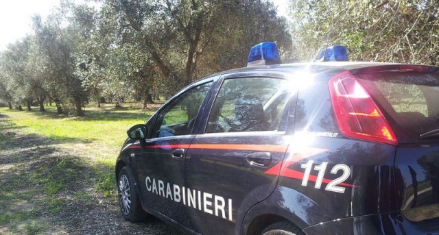 Avola, chiuso frantoio per carenze igieniche