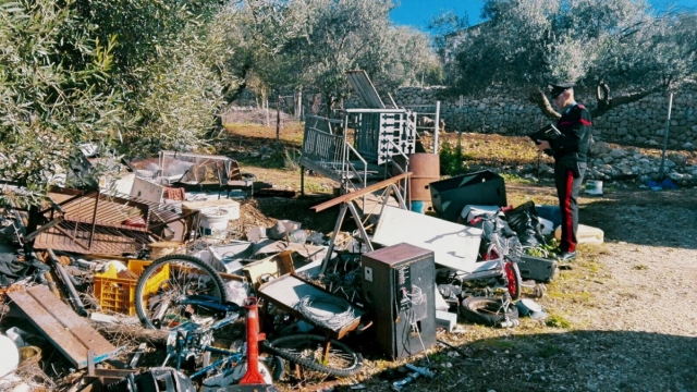 Ferla, cani e cinghiali chiusi in discarica abusiva: accusati coniugi