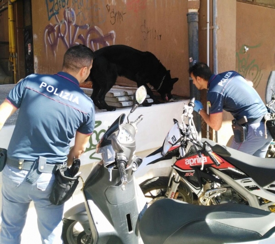 Siracusa, droga nelle scuole: trovata hashish e marijuana