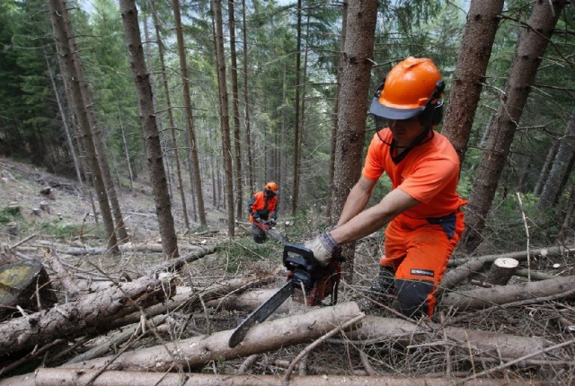Siracusa, lavoratori forestali ancora in protesta