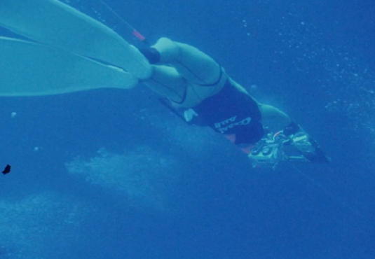 Enzo Maiorca e Jacques Mayol raccontati in "The Dolphin man". VIDEOINTERVISTA a Patrizia Maiorca