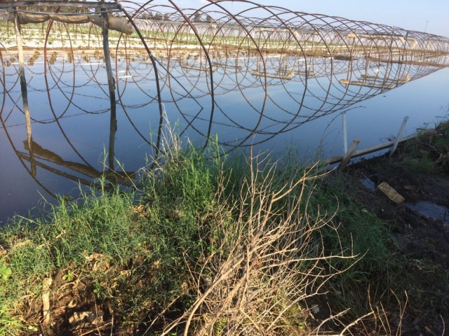 Siracusa, Alternativa Libera: "Zona mare ad alto rischio idrogeologico"