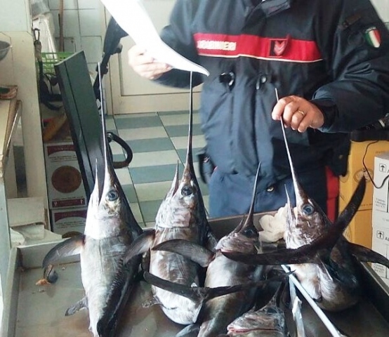 Siracusa, pesce in cattivo stato: sanzioni elevate per ristoratore