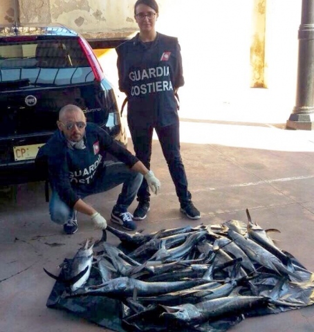 Siracusa, sequestrati 16 esemplari di pesce spada sottomisura