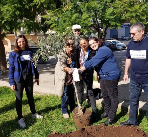 Siracusa, messi a dimora due alberi di olivo ad Akradina