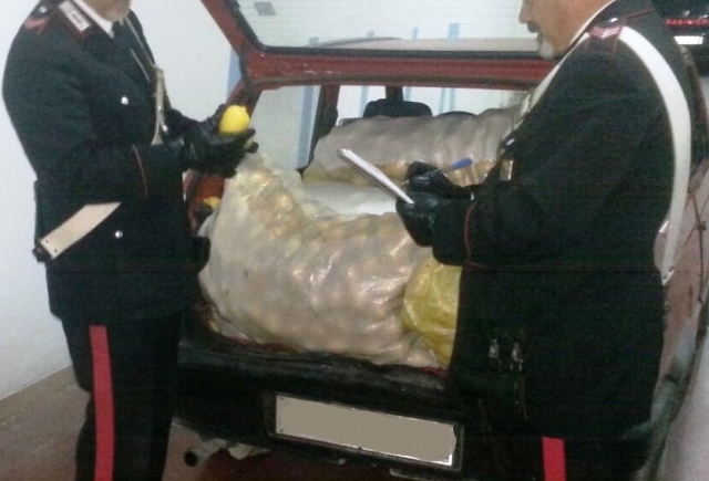 Siracusa, colti in flagranza mentre rubavano 200Kg di limoni