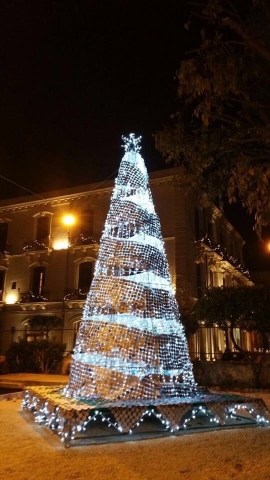 Siracusa, pronto l'Urban Tree: l'albero di Natale ecosostenibile