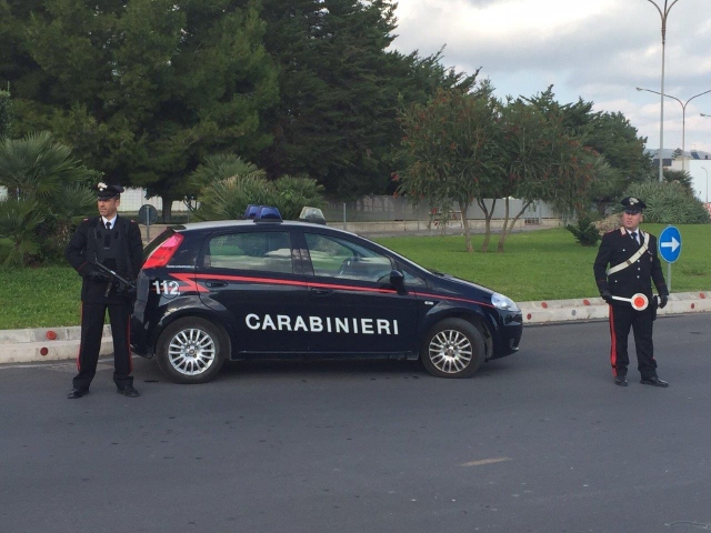 Carlentini, tagliano ulivo e rubano tre tonnellate di legna