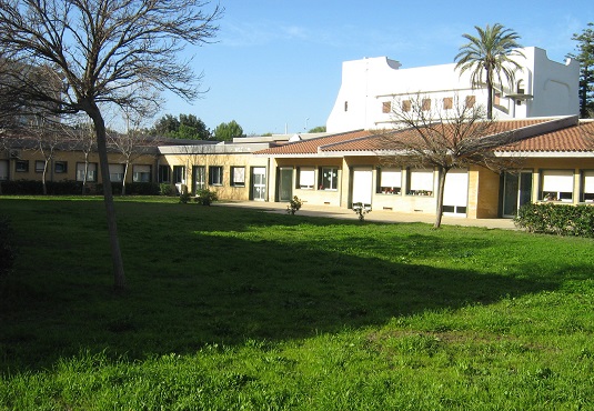 Siracusa, topi alla Raiti: i genitori chiedono la chiusura della scuola