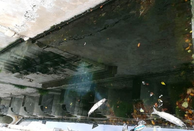 Siracusa, Fontana degli Schiavi nel degrado