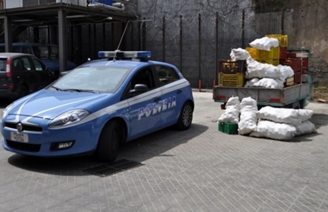 Furti di agrumi tra Noto e Avola, 2 arresti e 1 denuncia