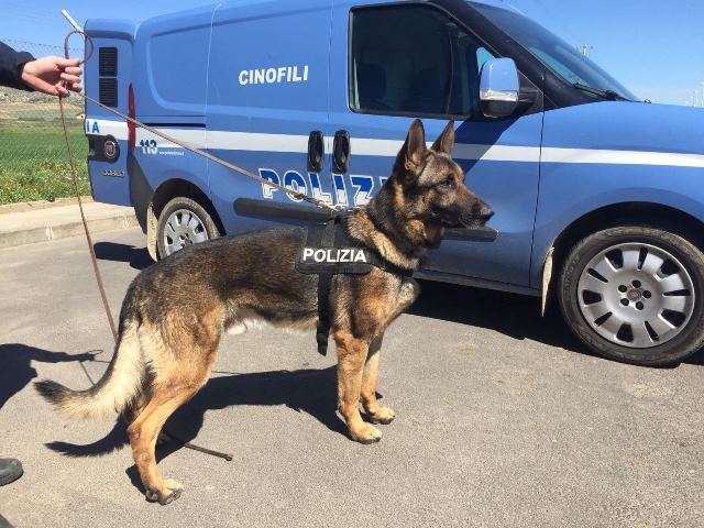 Avola, spaccio di cocaina e associazione a delinquere: arrestato 60enne