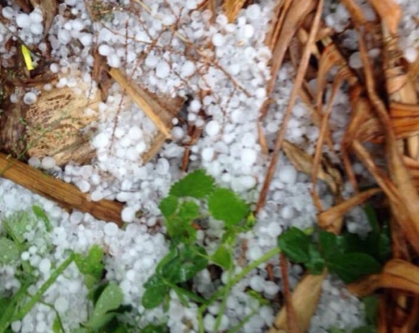 Avola, il Comune chiede lo stato di calamità alla Regione