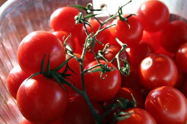 Via a campagna di promozione del pomodoro Pachino