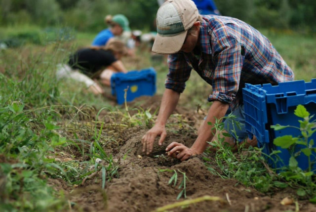 Siracusa, Sergio Cutrale: "Più tutele per i lavoratori agricoli tunisini"