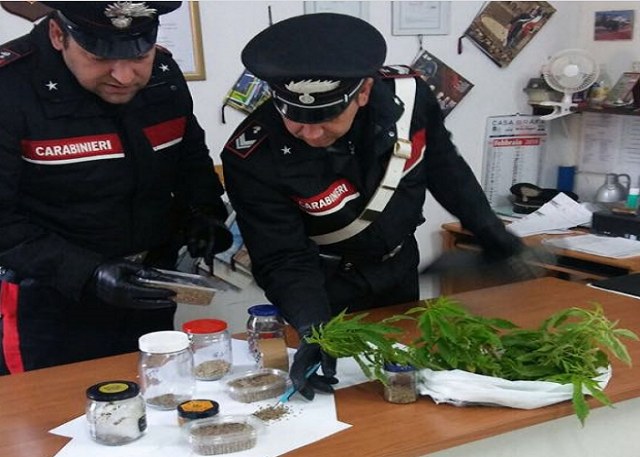 Noto, aveva in casa piante e semi di marijuana: arrestato