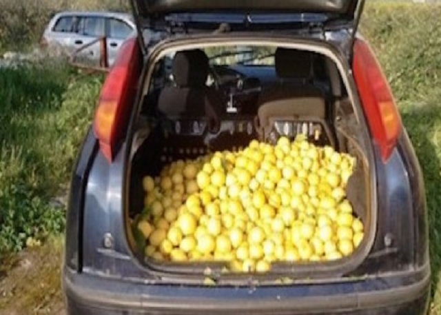 Avola, furto di limoni: un arresto e una denuncia
