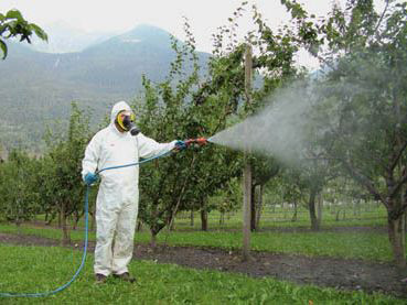 Pachino, patentini fitosanitari: lunedì 5 febbraio parte il primo corso