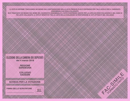 Nel Milanese, fotografa scheda elettorale: denunciato