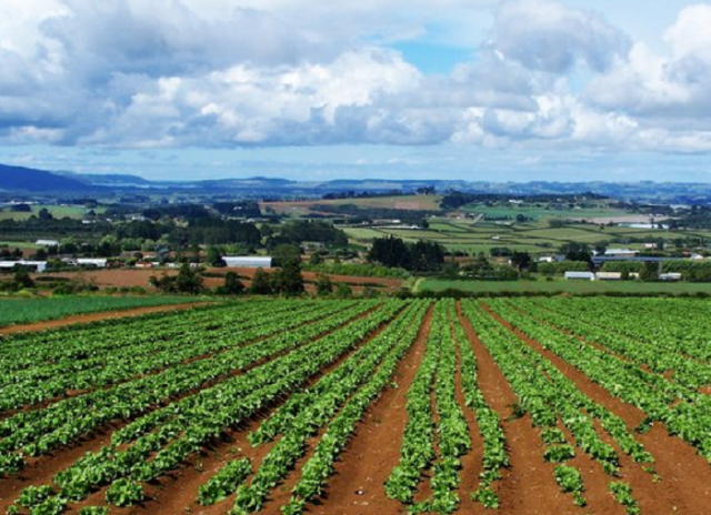Siracusa, incontro su integrazione filiere agroalimentare