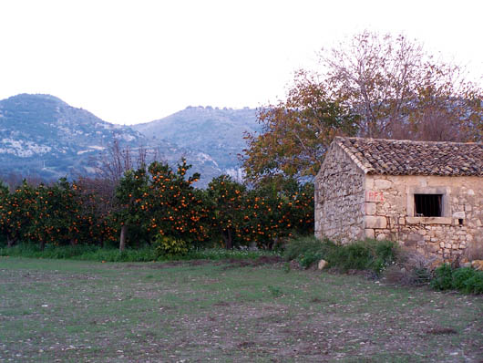 Noto, furto in campagna: denunciato 27enne