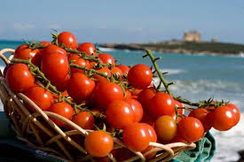 Crisi agricoltura e blocco export pomodoro siciliano, M5S: "Musumeci intervenga"