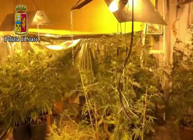 Catania, piantagione cannabis in casa: arrestato