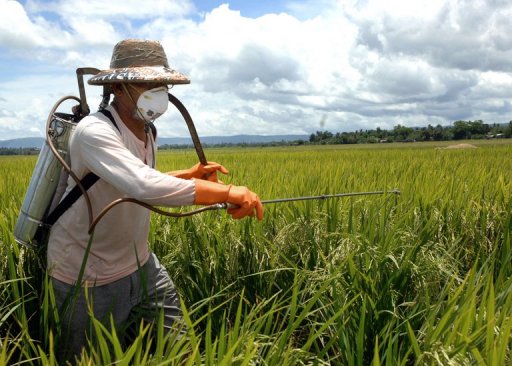 Pachino, patentini fitosanitari: esami e consegna tesserini il 15 marzo