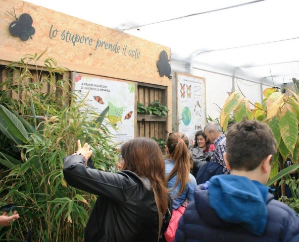 Siracusa, bufala morbillo in Casa delle Farfalle