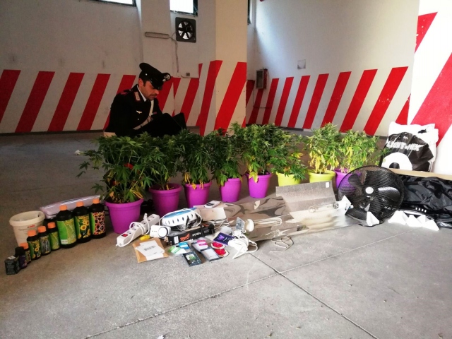 Avola, una mini serra di cannabis indica all'interno di un appartamento: arrestato 30enne