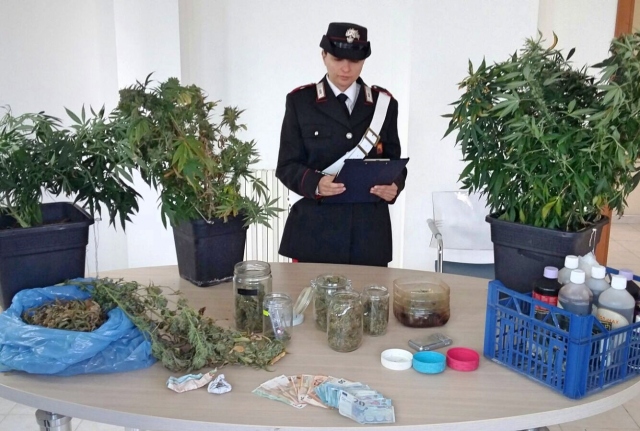 Carlentini, marijuana essicata e piantine in coltivazione: arrestato incensurato