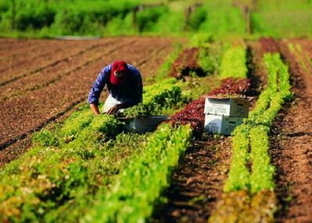 Rosolini, il Comune a fianco della Coldiretti contro il Ceta