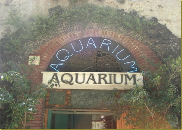 Il Comune di Siracusa cerca gestori per l'acquario di Largo Aretusa