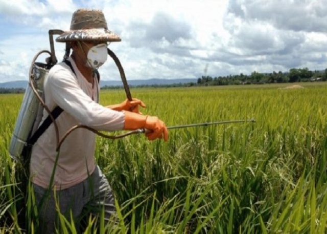 Pachino, secondo corso di formazione per patentini fitosanitari