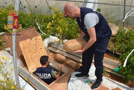 Vittoria, 900 kg di marijuana tra i peperoni: 3 arresti