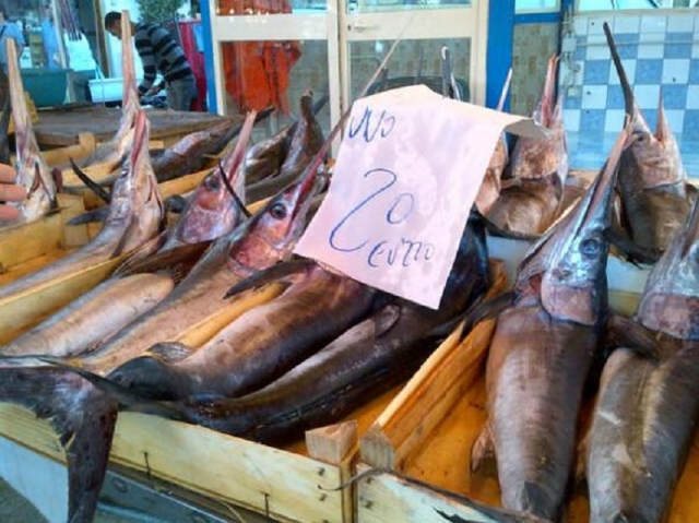 Il porto di Siracusa aperto allo sbarco del pesce spada, Bandiera: "“Risultato importante, adesso puntiamo sul tonno rosso”