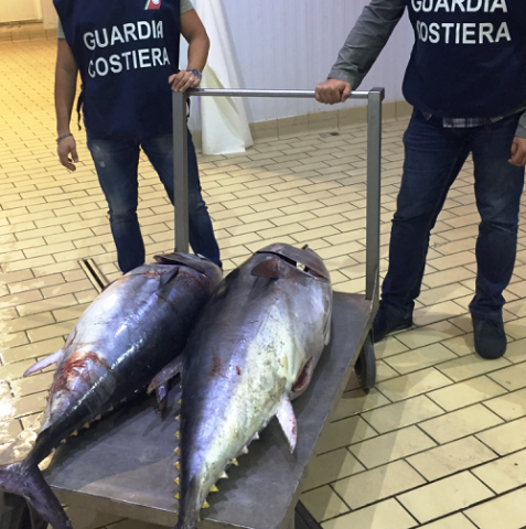 Portopalo, sequestrato 100 chili di tonno rosso