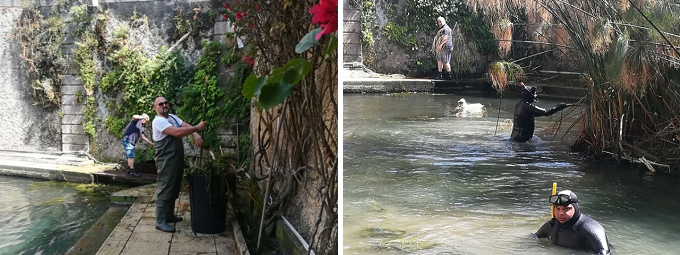 Siracusa, i volontari dell'associazione Ross ripuliscono la Fonte Aretusa 1 Pulizia Fonte aretusa