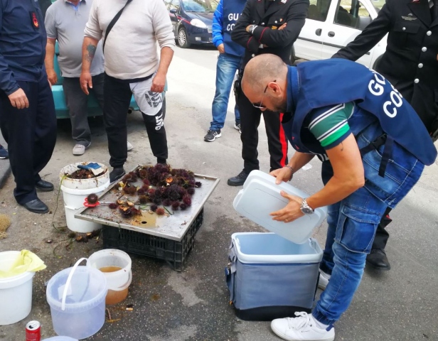 Siracusa, continua la vendita abusiva di ricci