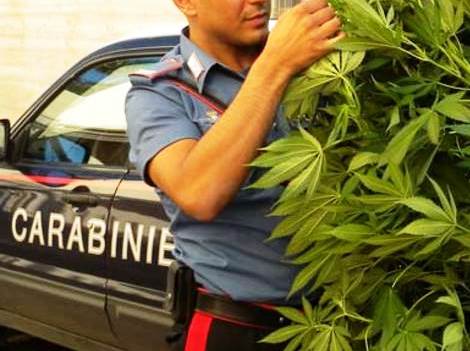 carabiniere-con-marijuana-483403