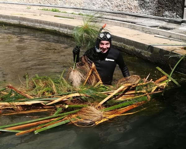 Siracusa, i volontari dell'associazione Ross ripuliscono la Fonte  Aretusa
