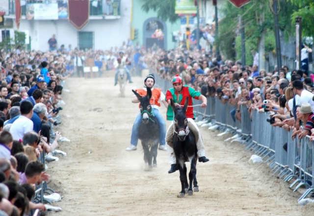 Canicattini Bagni al XIII Palio del Casale di Camposano e alla gara mondiale su asini